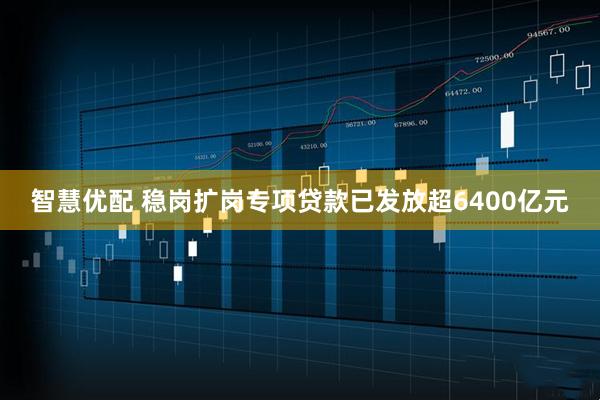 智慧优配 稳岗扩岗专项贷款已发放超6400亿元
