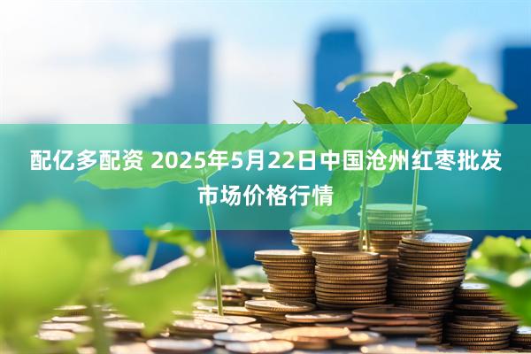 配亿多配资 2025年5月22日中国沧州红枣批发市场价格行情