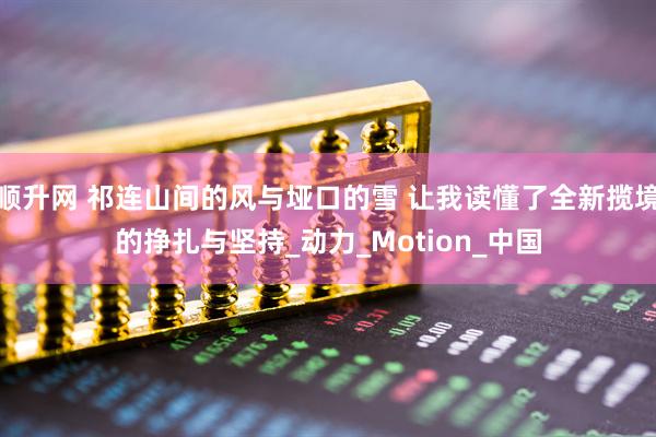 顺升网 祁连山间的风与垭口的雪 让我读懂了全新揽境的挣扎与坚持_动力_Motion_中国
