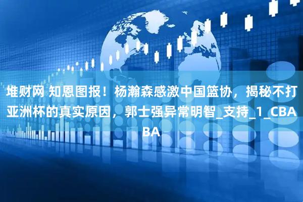 堆财网 知恩图报！杨瀚森感激中国篮协，揭秘不打亚洲杯的真实原因，郭士强异常明智_支持_1_CBA