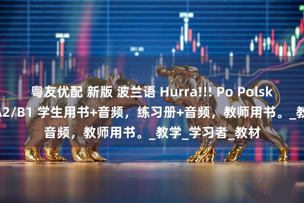 粤友优配 新版 波兰语 Hurra!!! Po Polsku 1-3 对应A1/A2/B1 学生用书+音频，练习册+音频，教师用书。_教学_学习者_教材