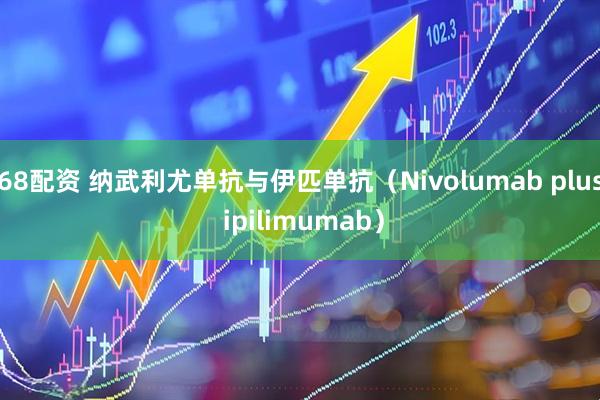 68配资 纳武利尤单抗与伊匹单抗（Nivolumab plus ipilimumab）