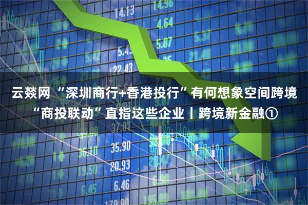 云燚网 “深圳商行+香港投行”有何想象空间跨境“商投联动”直指这些企业丨跨境新金融①